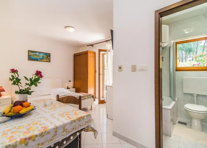 Gostinjska kuća Pino 3*